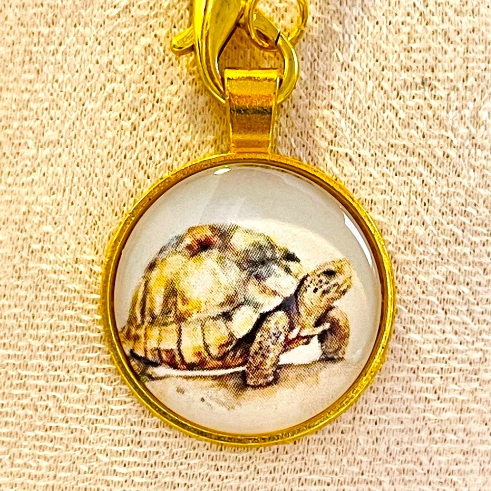 Sulcata Tortoise cabachon Pendant Necklace. 24” chain. OOAK